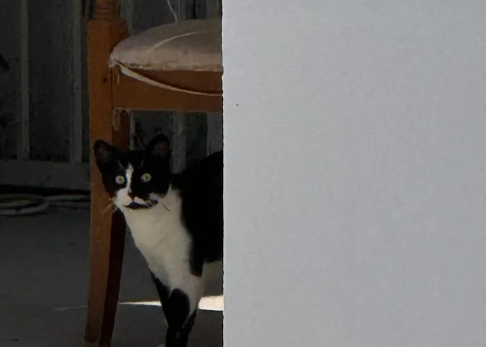 4 Stinet 公寓 Vlorë