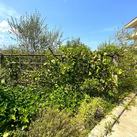 4 Stinet アパート *