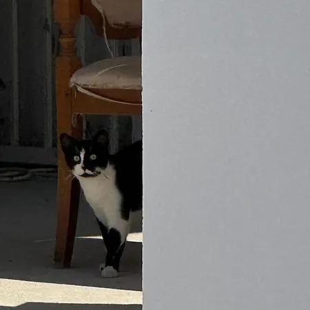 4 Stinet דירה Vlorë